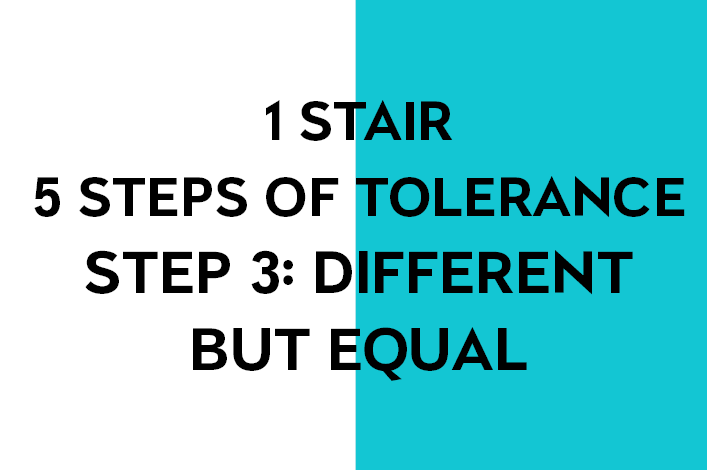 Module 3. Different, but equal: a training session on tolerance in regard to socially vulnerable groups