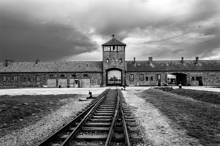 От расовых законов до Нюрнбергского процесса. История Холокоста в Европе и СССР 