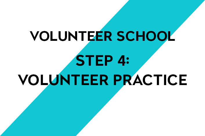 Module 4. Volunteer school