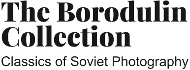 Borodulin collection.png Borodulin collection.png