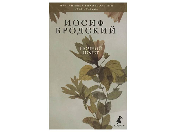 Ночной полет