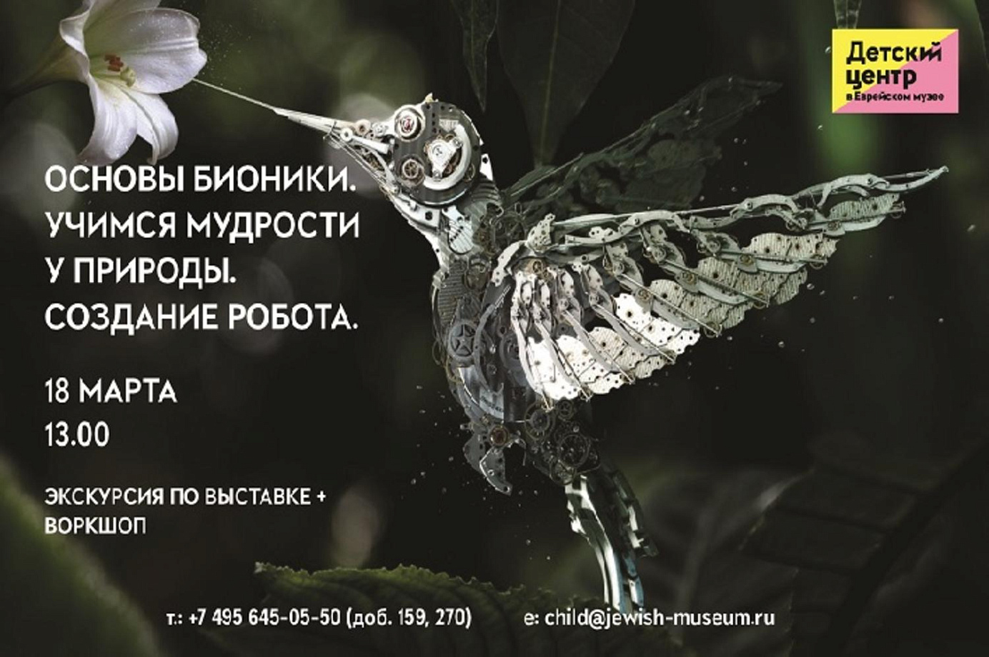Основы бионики. Учимся мудрости у природы.